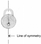 NCERT Solutions for Class 6 Maths Chapter 13 Symmetry 3